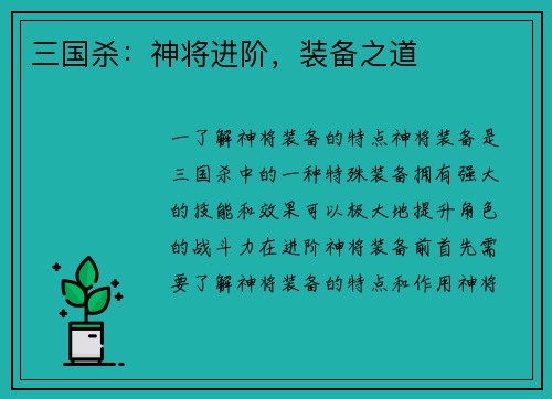 三国杀：神将进阶，装备之道